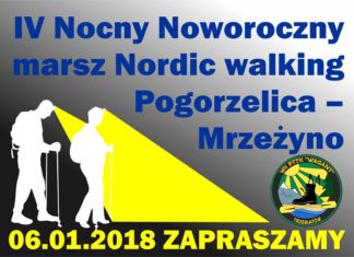 IV Nocny Marsz Nordic Walking - plakat