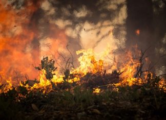 25. czerwca około godziny 21.00 w Mrzeżynie doszło do dwóch pożarów.