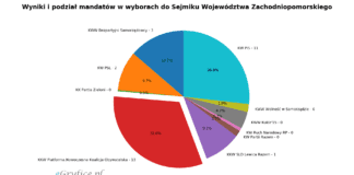 wyniki wyborów do sejmiku