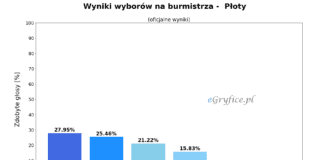 wyniki wyborów na burmistrza - płoty