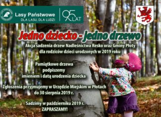 "Jedno dziecko, jedno drzewo" - zgłoszenia do płotowskiej edycji akcji trwają do 30 sierpnia 2019.