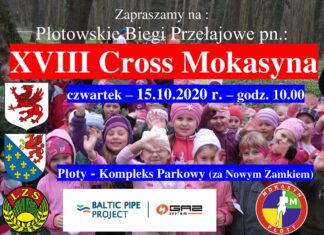 XVII CROSS MOKASYNA