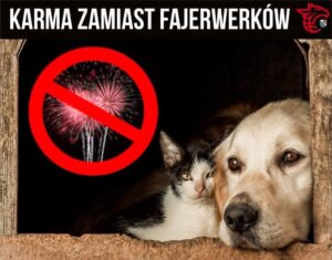 KARMA ZAMIAST FAJERWERKÓW