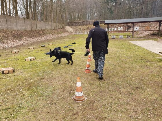 szkolenie psów policja